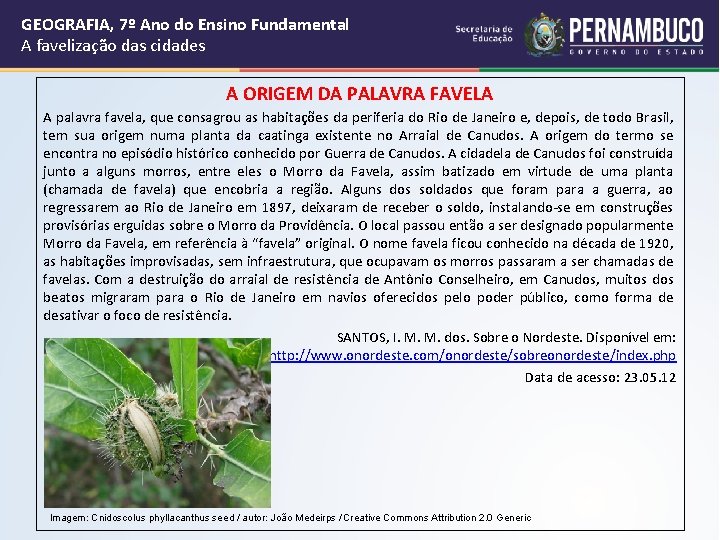 GEOGRAFIA, 7º Ano do Ensino Fundamental A favelização das cidades A ORIGEM DA PALAVRA