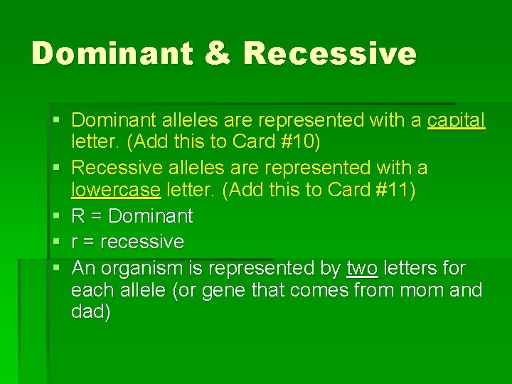 Dominant & Recessive § Dominant alleles are represented with a capital letter. (Add this