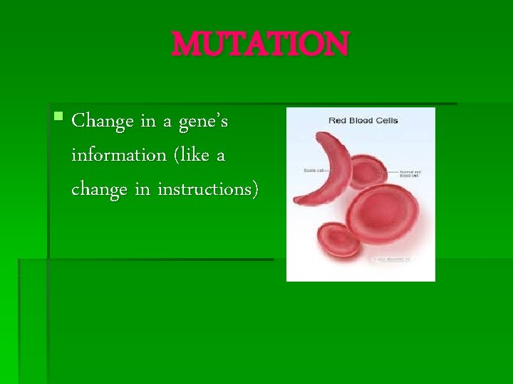 MUTATION § Change in a gene’s information (like a change in instructions) 