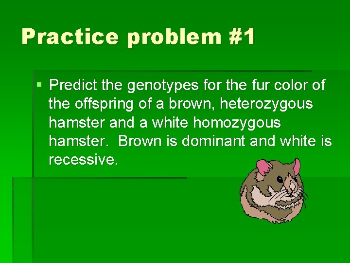 Practice problem #1 § Predict the genotypes for the fur color of the offspring