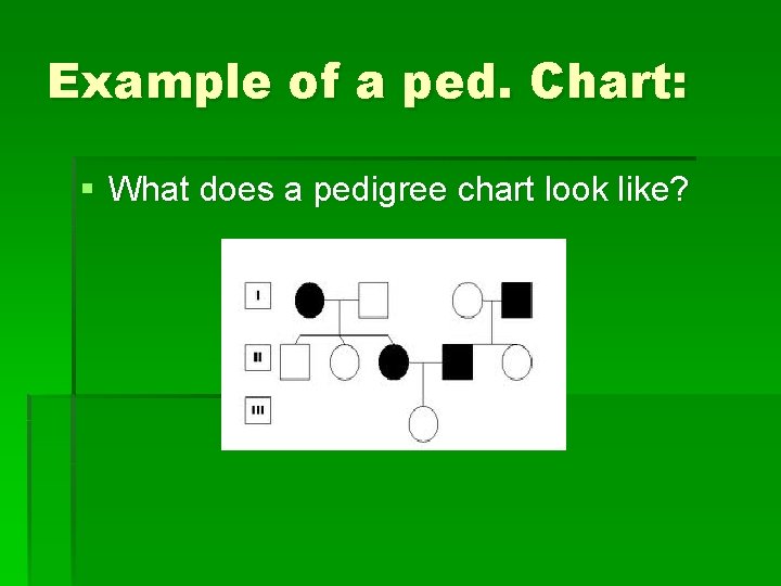 Example of a ped. Chart: § What does a pedigree chart look like? 