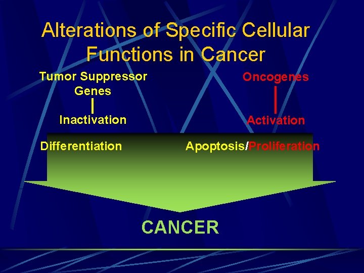 Alterations of Specific Cellular Functions in Cancer Tumor Suppressor Genes Oncogenes Inactivation Activation Differentiation