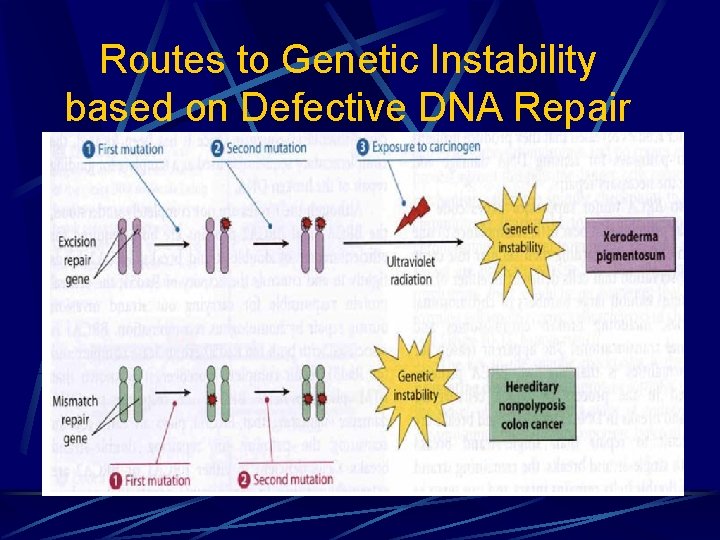 Routes to Genetic Instability based on Defective DNA Repair 