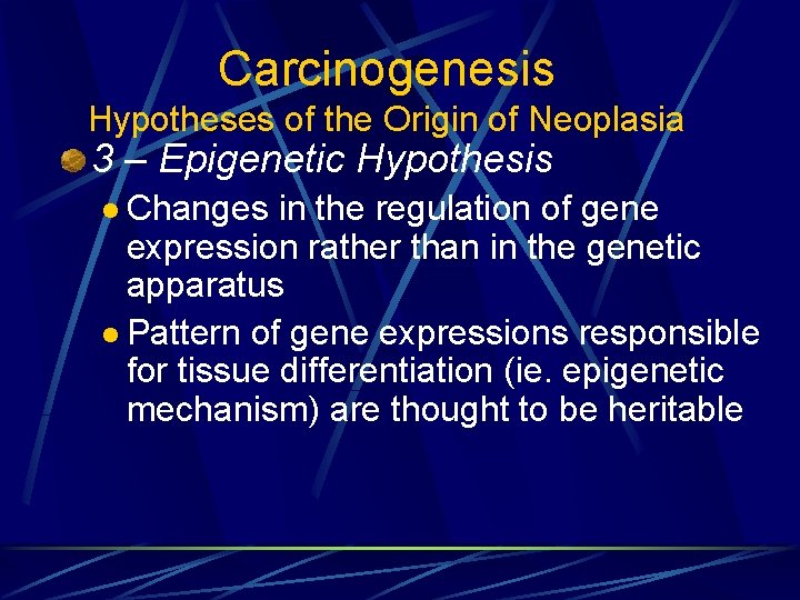 Carcinogenesis Hypotheses of the Origin of Neoplasia 3 – Epigenetic Hypothesis l Changes in