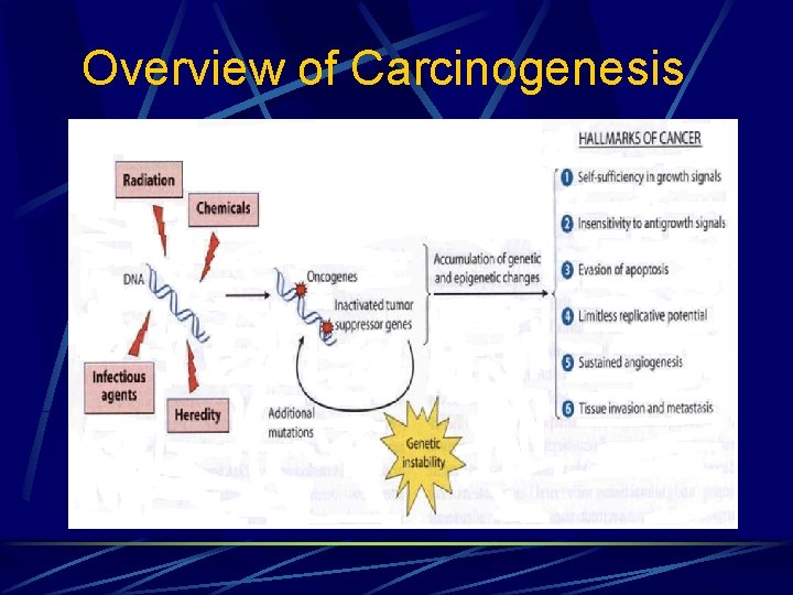 Overview of Carcinogenesis 