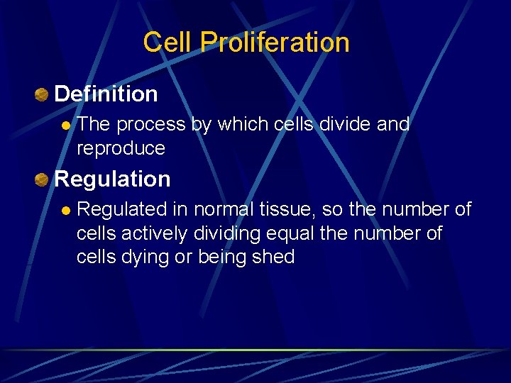 Cell Proliferation Definition l The process by which cells divide and reproduce Regulation l