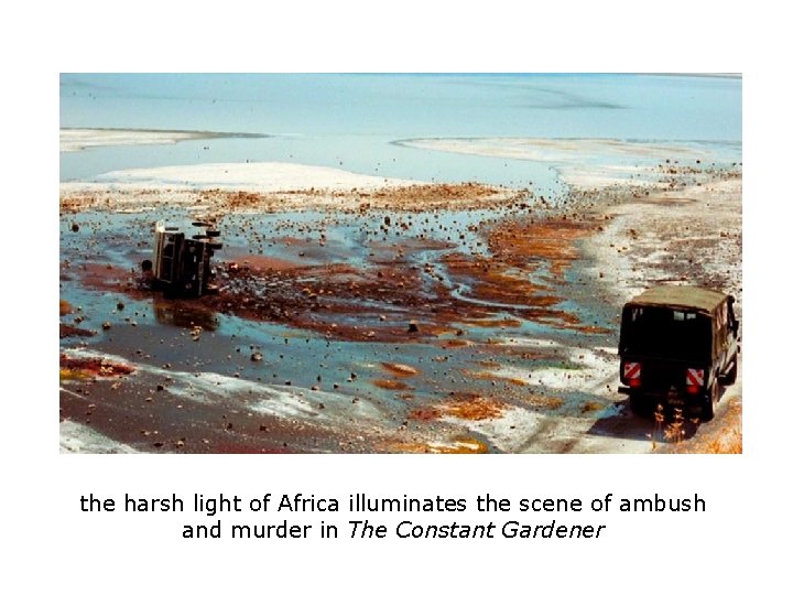 the harsh light of Africa illuminates the scene of ambush and murder in The the harsh light of Africa illuminates the scene of ambush and murder in The