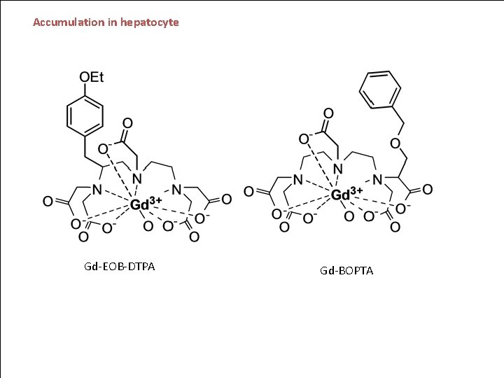 Accumulation in hepatocyte Gd-EOB-DTPA Gd-BOPTA 