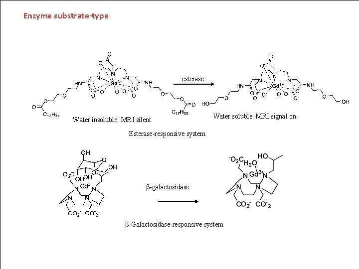 Enzyme substrate-type esterase Water insoluble: MRI silent Water soluble: MRI signal on Esterase-responsive system