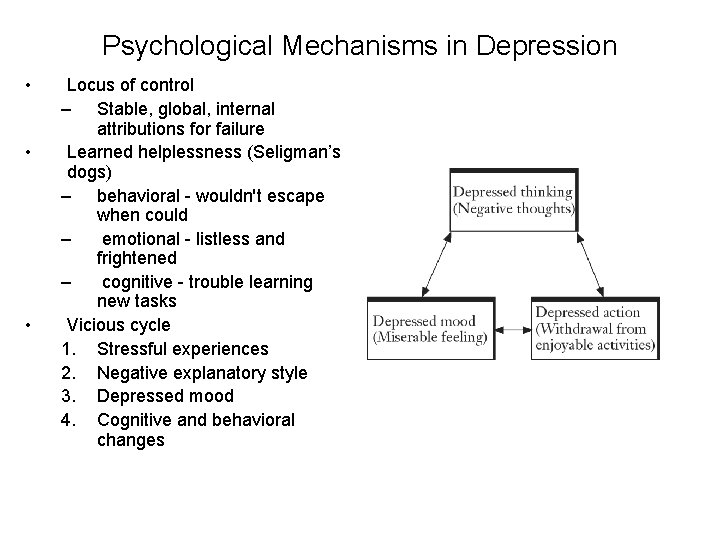 Psychological Mechanisms in Depression • • • Locus of control – Stable, global, internal