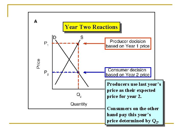 Year Two Reactions Producers use last year’s price as their expected price for year