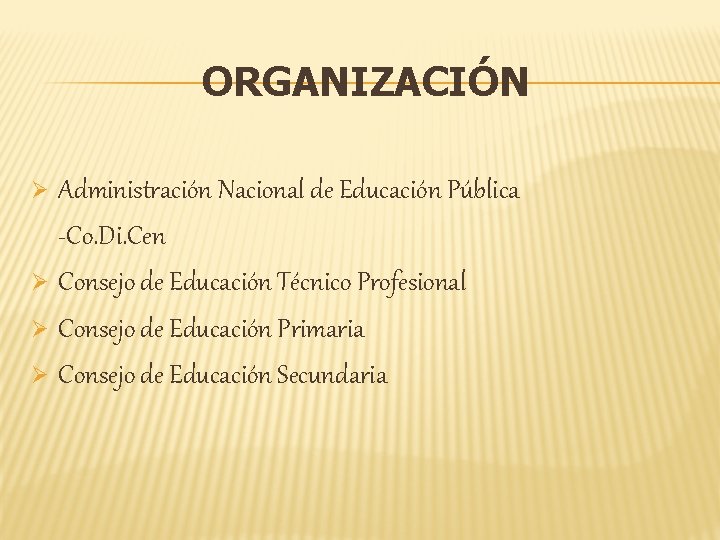 ORGANIZACIÓN Administración Nacional de Educación Pública -Co. Di. Cen Ø Consejo de Educación Técnico