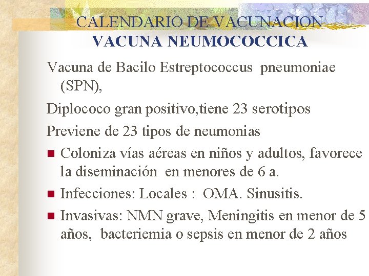 CALENDARIO DE VACUNACION VACUNA NEUMOCOCCICA Vacuna de Bacilo Estreptococcus pneumoniae (SPN), Diplococo gran positivo,