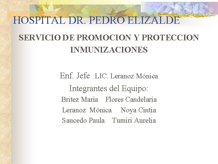 HOSPITAL DR. PEDRO ELIZALDE SERVICIO DE PROMOCION Y PROTECCION INMUNIZACIONES Enf. Jefe LIC. Leranoz