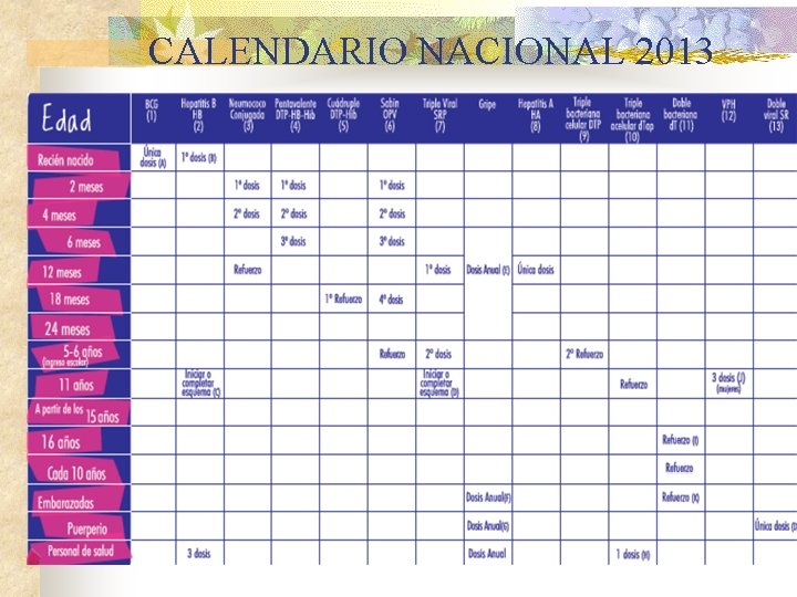 CALENDARIO NACIONAL 2013 