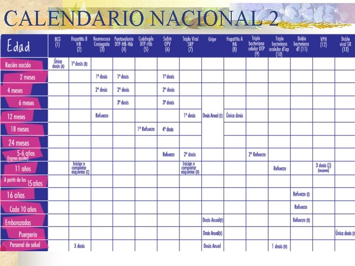 CALENDARIO NACIONAL 2 