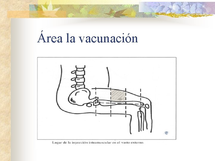 Área la vacunación 