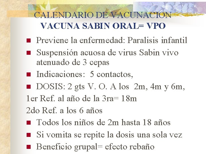 CALENDARIO DE VACUNACION VACUNA SABIN ORAL= VPO Previene la enfermedad: Paralisis infantil n Suspensión