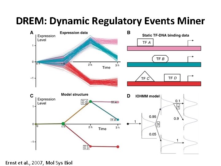 DREM: Dynamic Regulatory Events Miner Ernst et al. , 2007, Mol Sys Biol 