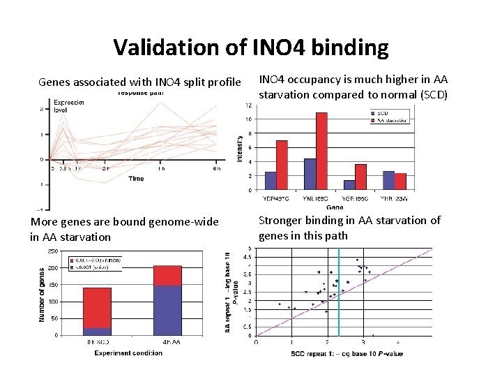 Validation of INO 4 binding Genes associated with INO 4 split profile More genes