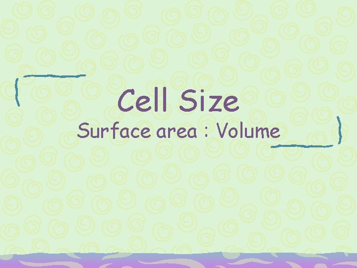 Cell Size Surface area : Volume 