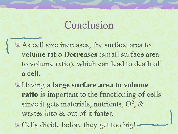 Conclusion As cell size increases, the surface area to volume ratio Decreases (small surface