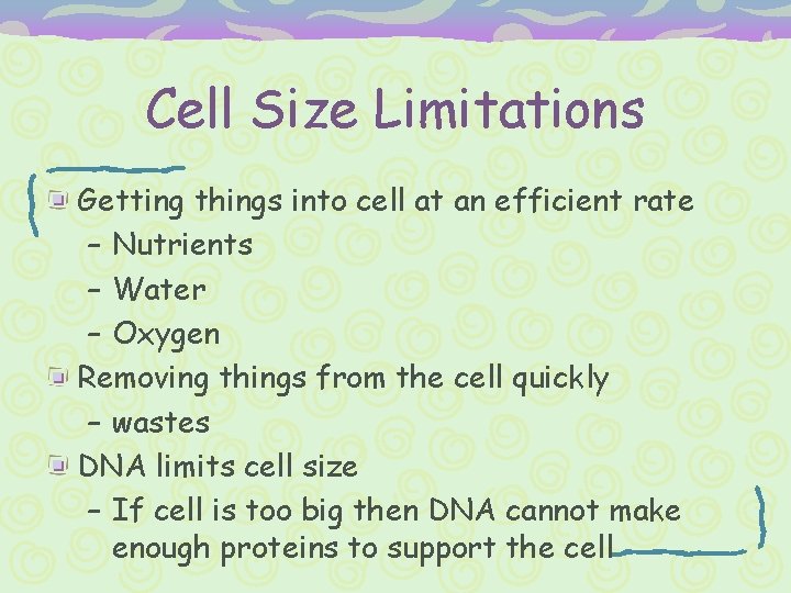 Cell Size Limitations Getting things into cell at an efficient rate – Nutrients –