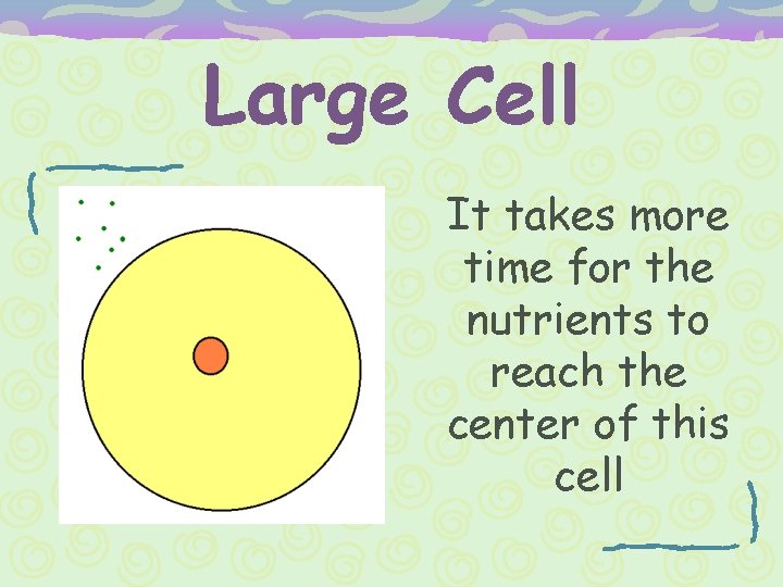 Large Cell It takes more time for the nutrients to reach the center of