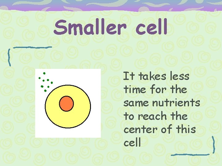 Smaller cell It takes less time for the same nutrients to reach the center