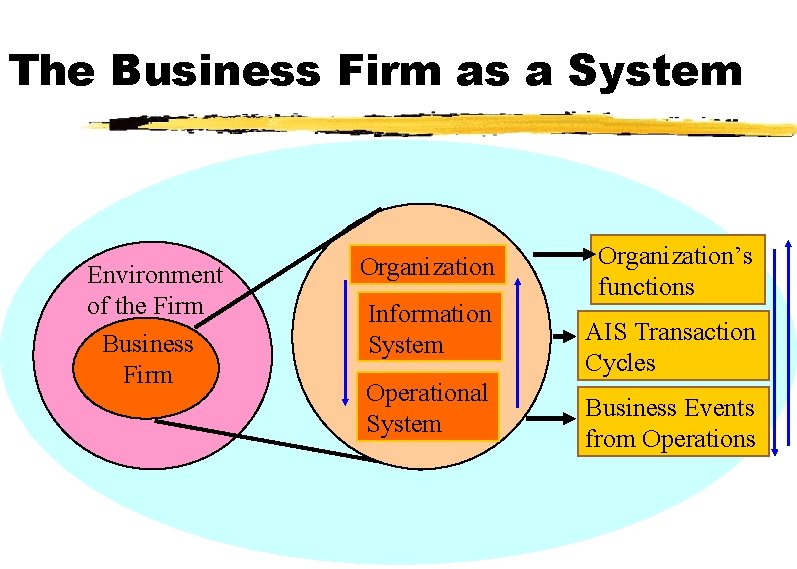 The Business Firm as a System Environment of the Firm Business Firm Organization Information