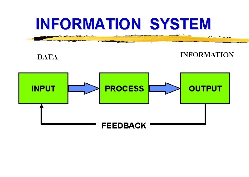 INFORMATION SYSTEM INFORMATION DATA INPUT PROCESS FEEDBACK OUTPUT 