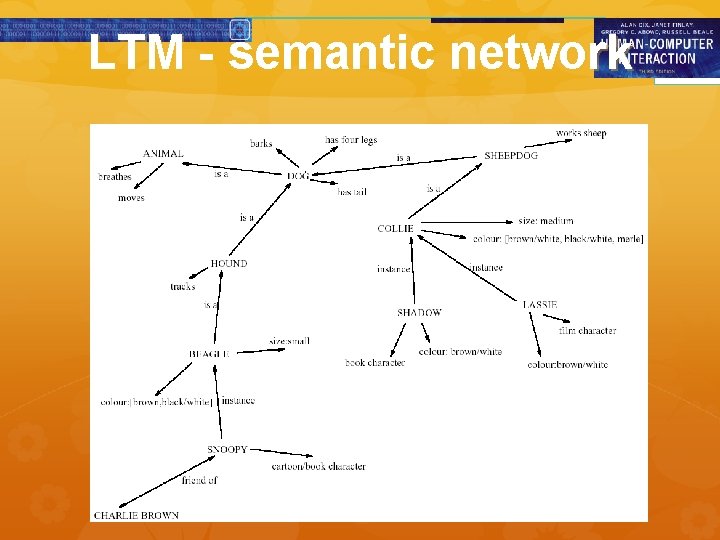 LTM - semantic network 