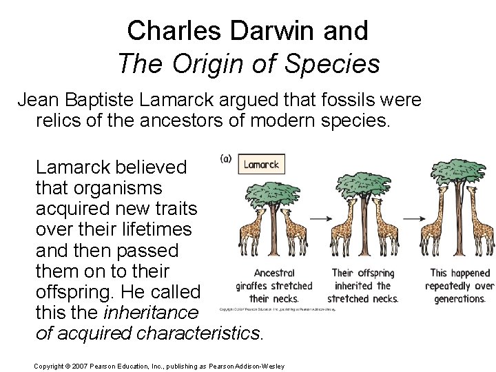 Charles Darwin and The Origin of Species Jean Baptiste Lamarck argued that fossils were