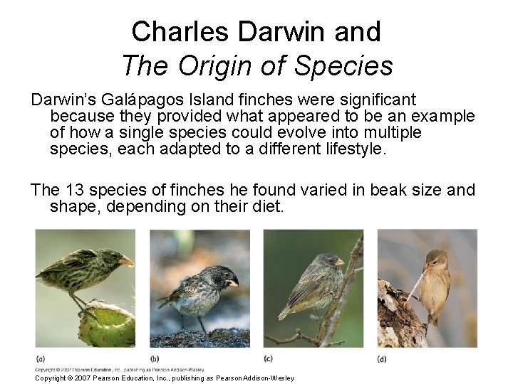 Charles Darwin and The Origin of Species Darwin’s Galápagos Island finches were significant because