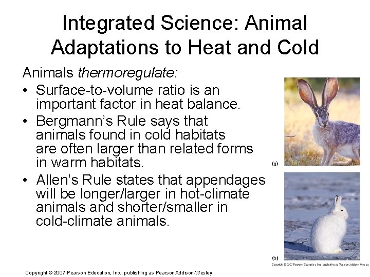 Integrated Science: Animal Adaptations to Heat and Cold Animals thermoregulate: • Surface-to-volume ratio is