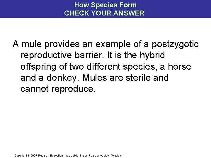 How Species Form CHECK YOUR ANSWER A mule provides an example of a postzygotic