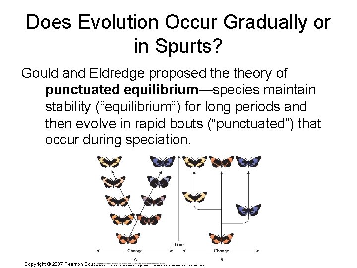 Does Evolution Occur Gradually or in Spurts? Gould and Eldredge proposed theory of punctuated