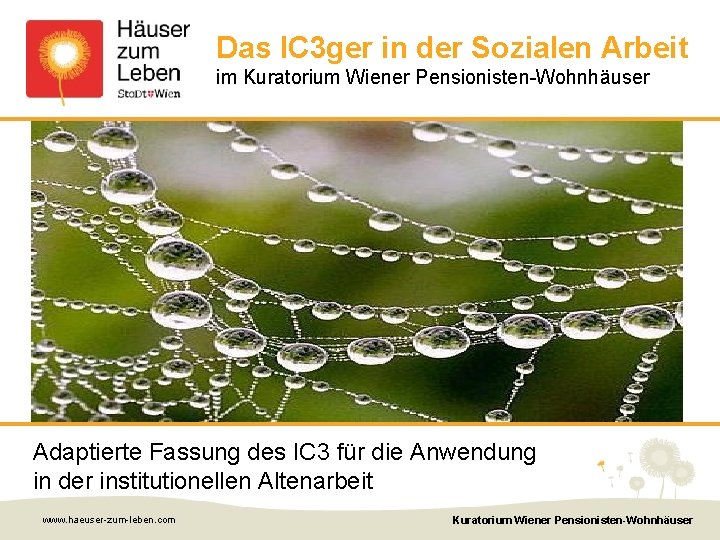 Das IC 3 ger in der Sozialen Arbeit im Kuratorium Wiener Pensionisten-Wohnhäuser Adaptierte Fassung