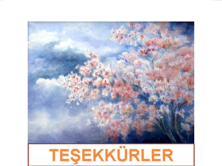 11. 2013 TEŞEKKÜRLER 113 