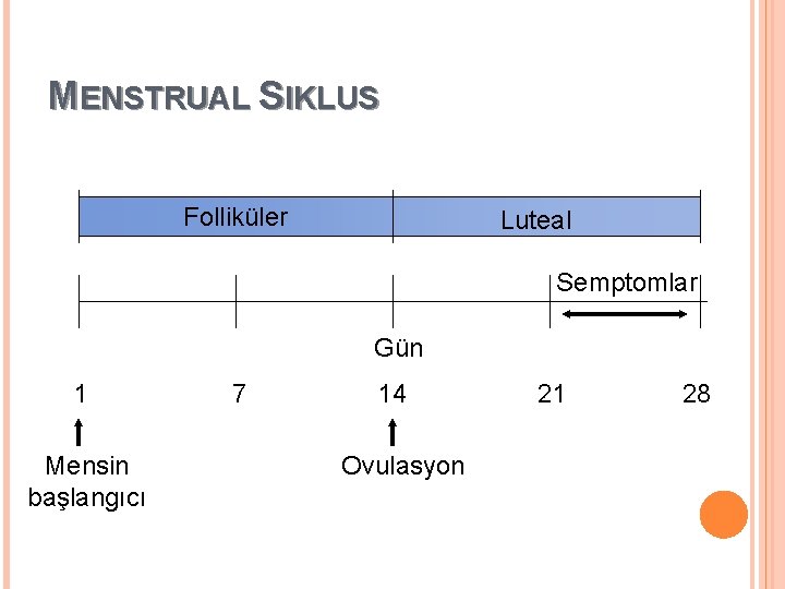 MENSTRUAL SIKLUS Folliküler Luteal Semptomlar Gün 1 7 14 21 28 Mensin başlangıcı Ovulasyon