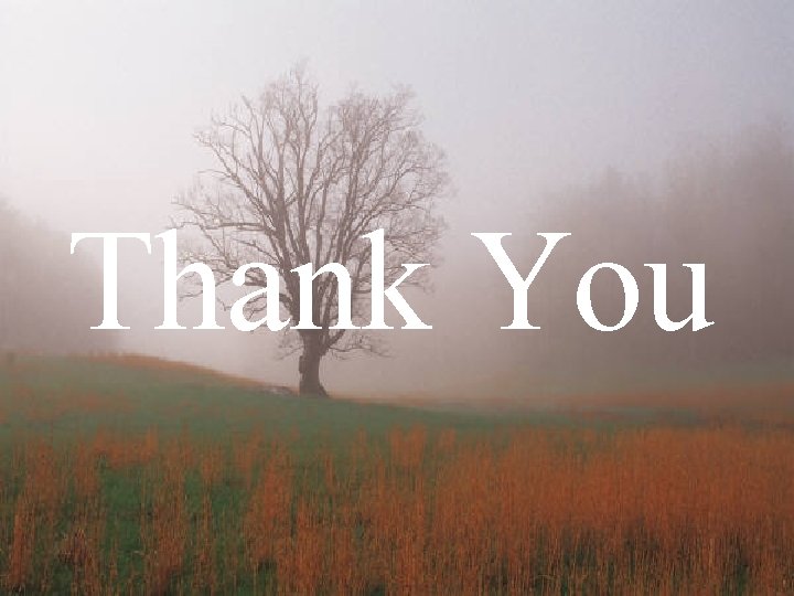 Thank You 