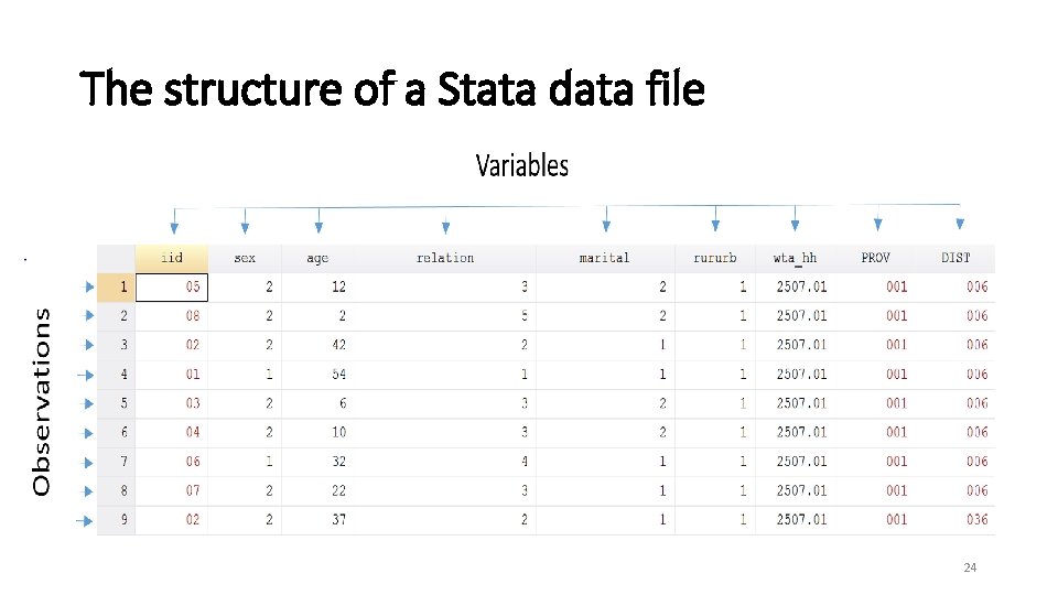 The structure of a Stata data file 24 