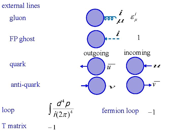 external lines gluon 1 FP ghost outgoing incoming quark anti-quark loop T matrix fermion