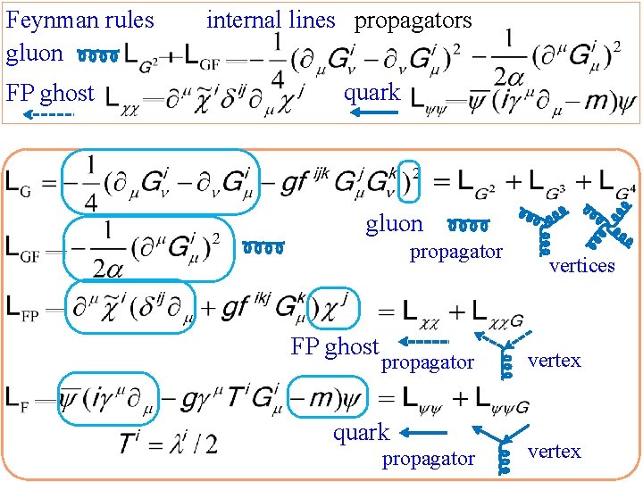 Feynman rules gluon FP ghost internal lines propagators quark gluon propagator FP ghost propagator