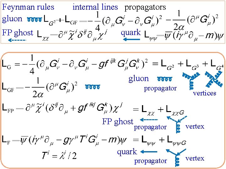 Feynman rules gluon FP ghost internal lines propagators quark gluon propagator FP ghost propagator
