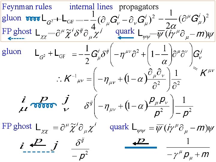 Feynman rules gluon FP ghost internal lines propagators quark gluon = FP ghost quark