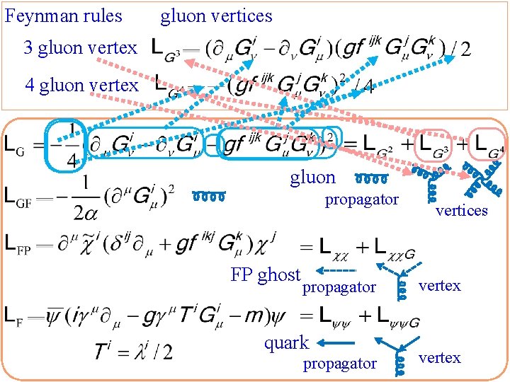 Feynman rules gluon vertices 3 gluon vertex 4 gluon vertex gluon propagator FP ghost