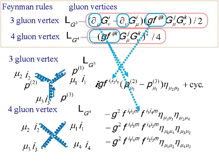 Feynman rules 3 gluon vertex 4 gluon vertex gluon vertices 