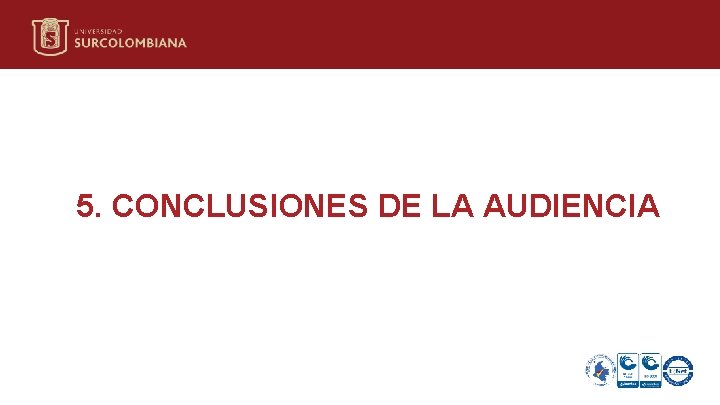 5. CONCLUSIONES DE LA AUDIENCIA 