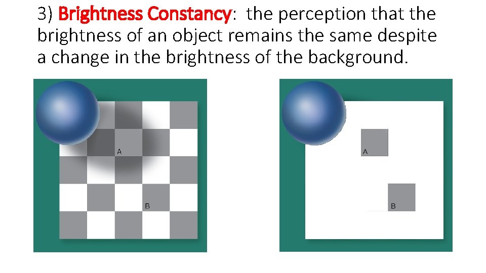 3) Brightness Constancy: the perception that the brightness of an object remains the same